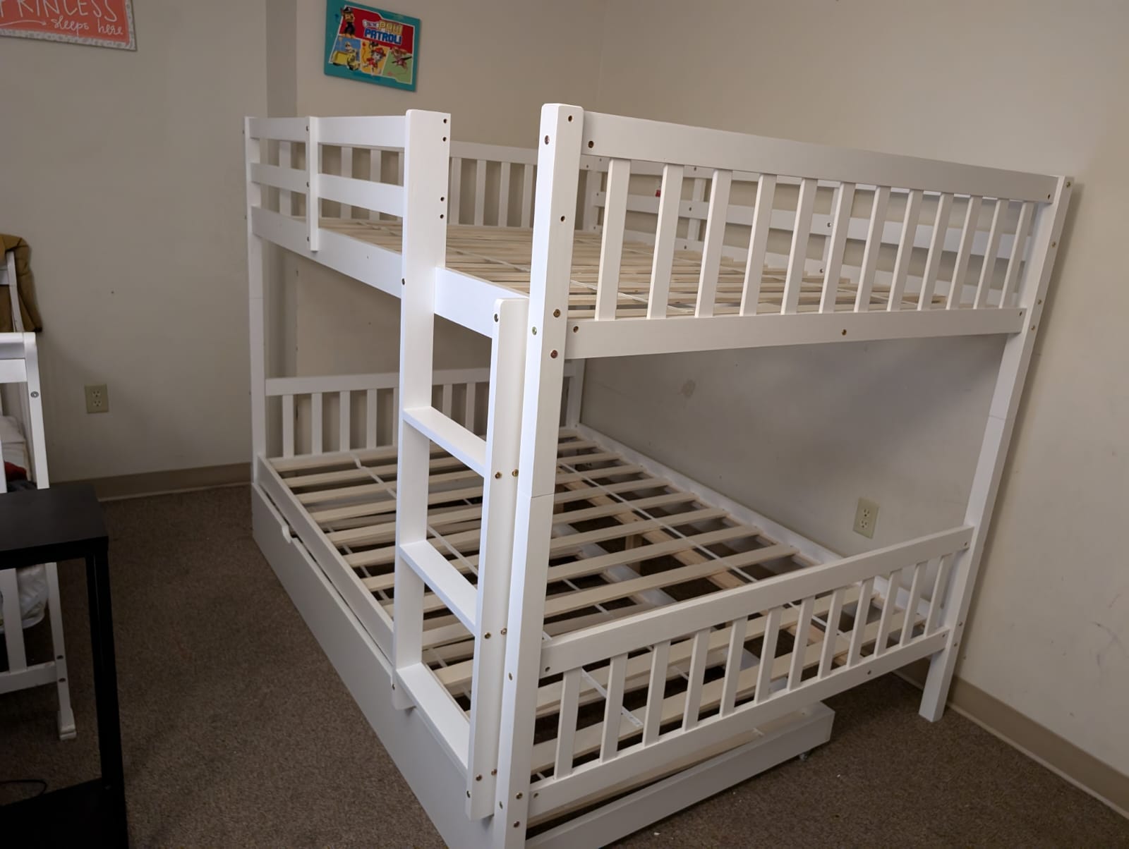 WhatsApp Image 2025-03-01 at 7.22.34 PM (2)